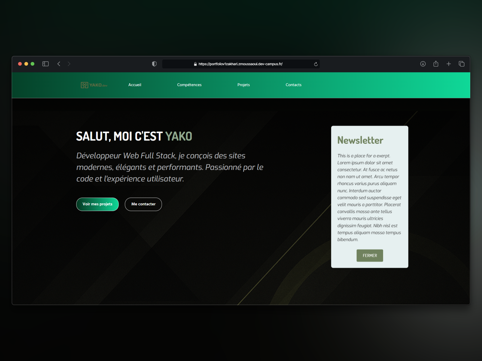 Aperçu Portfolio V1