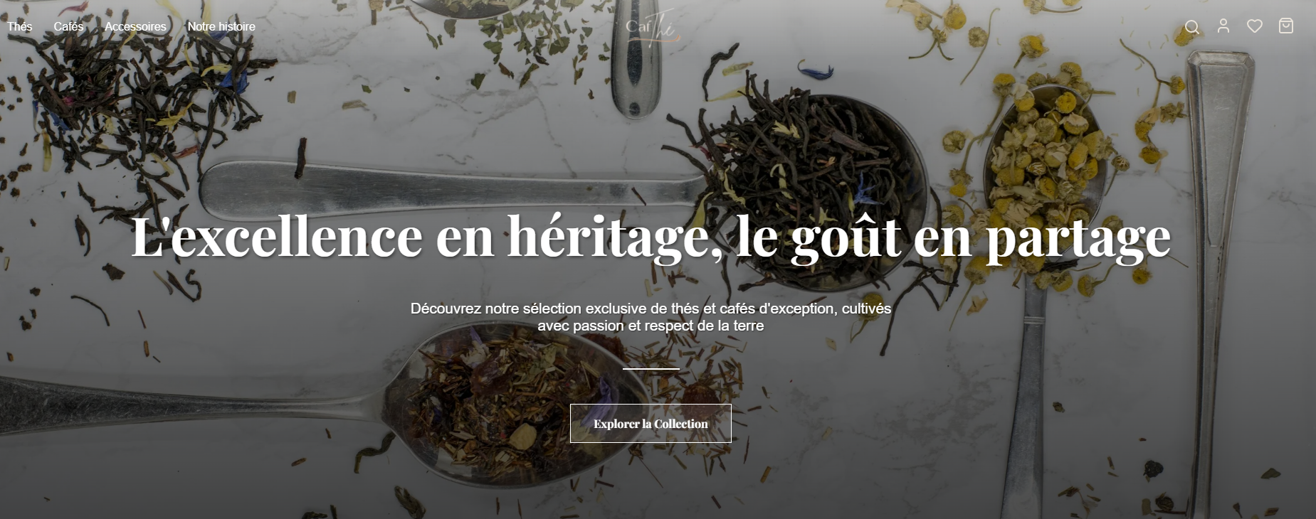 Aperçu Landing page